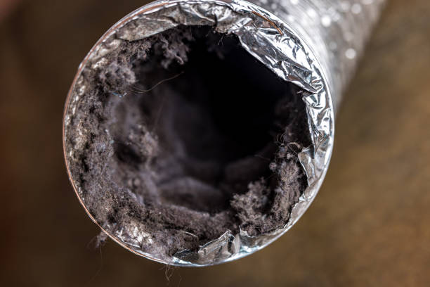 Best Air Duct Cleaning Company Near Me  in River Ridge, LA
