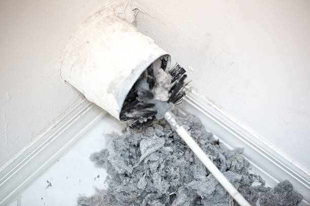 Best Affordable Duct Cleaning Services  in River Ridge, LA